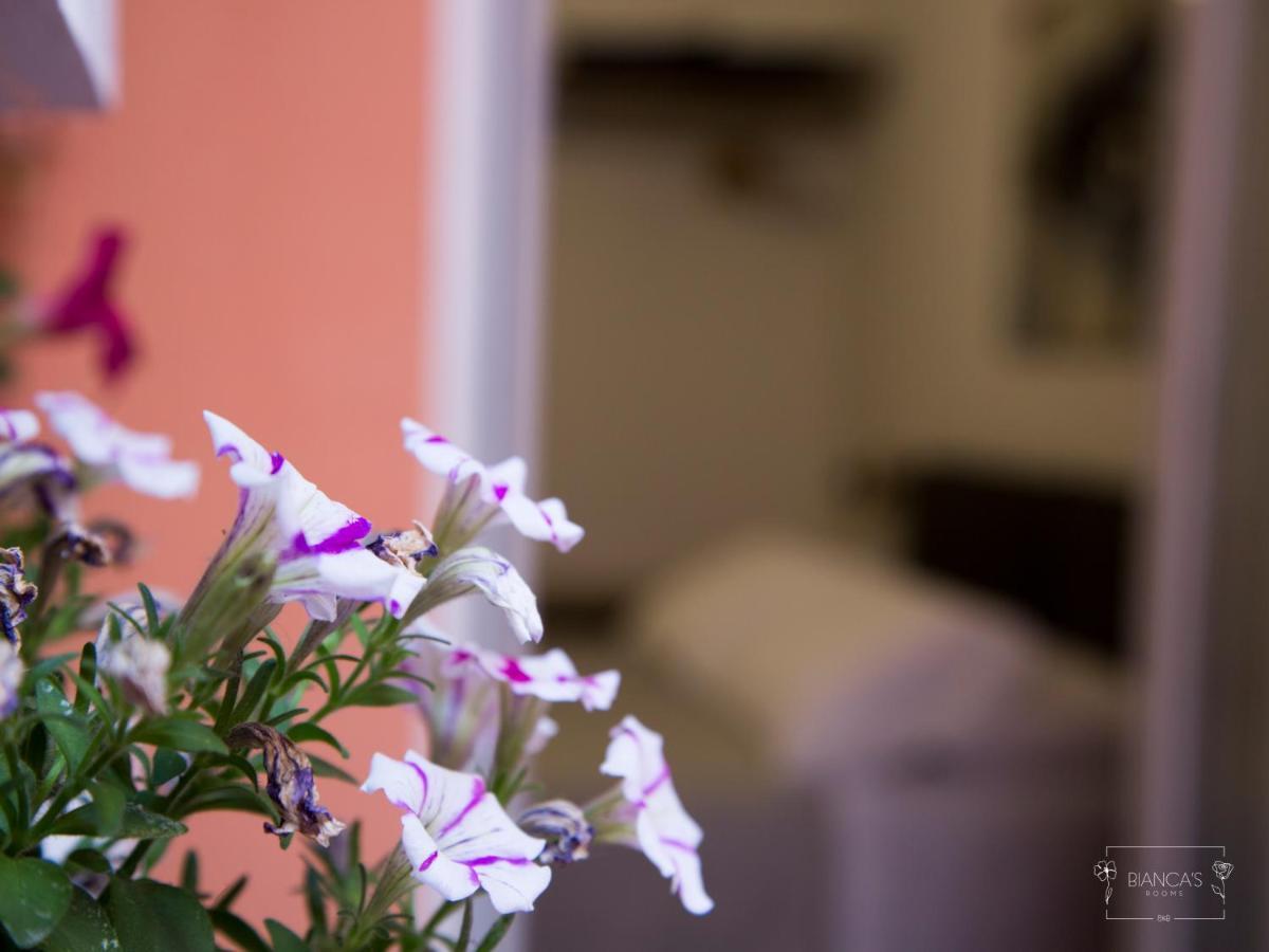 Bianca'S Rooms Trani Εξωτερικό φωτογραφία